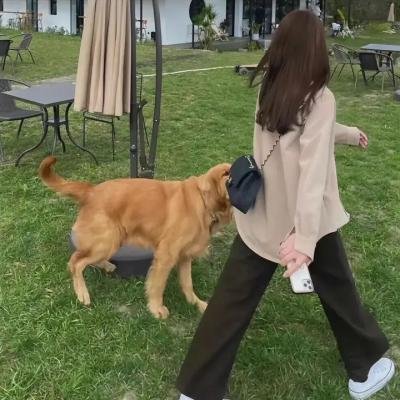 鬼铃